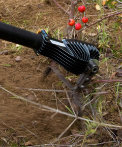 Prova la zappatrice sarchiatrice a batteria. Pellenc Innova